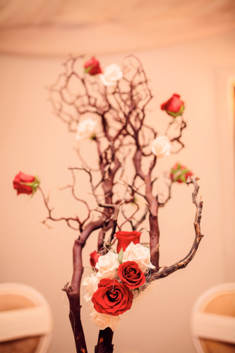 VictorianRomance - Manzanita2