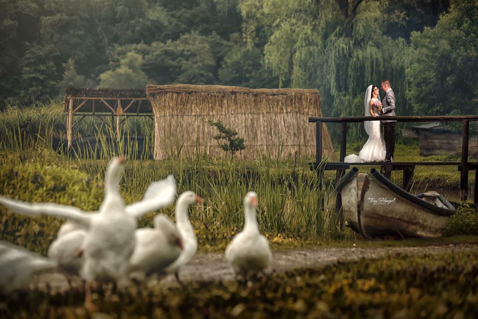 fotografii de nunta din romania