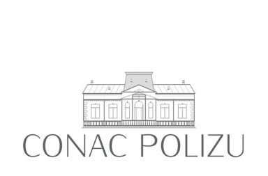 logo basic polizu